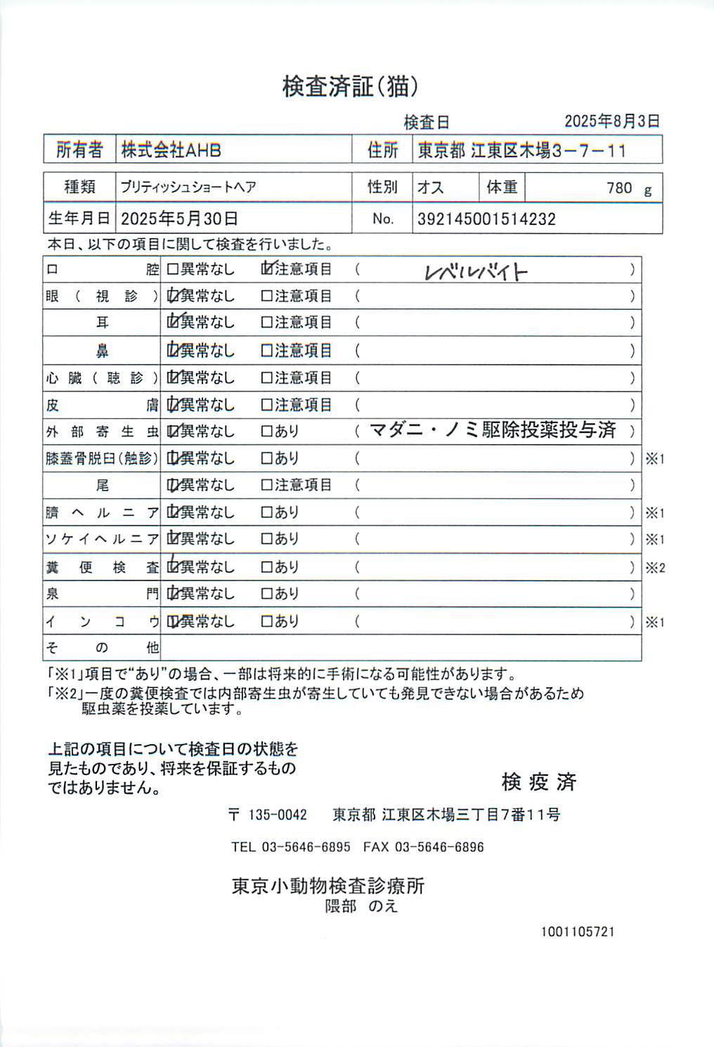 ブリティッシュショートヘア