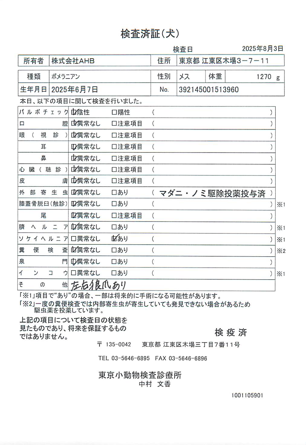 ポメラニアン