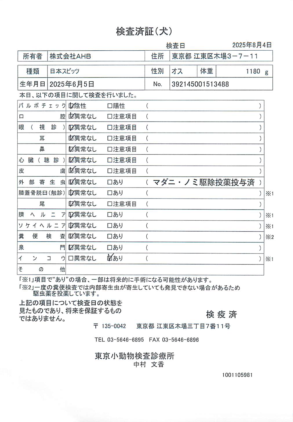 日本スピッツ