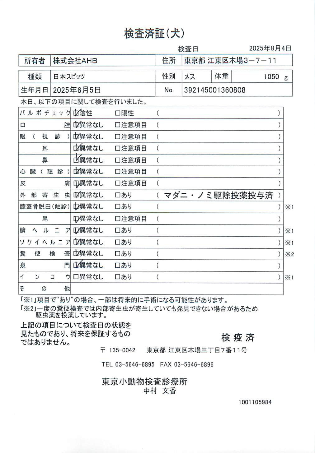 日本スピッツ