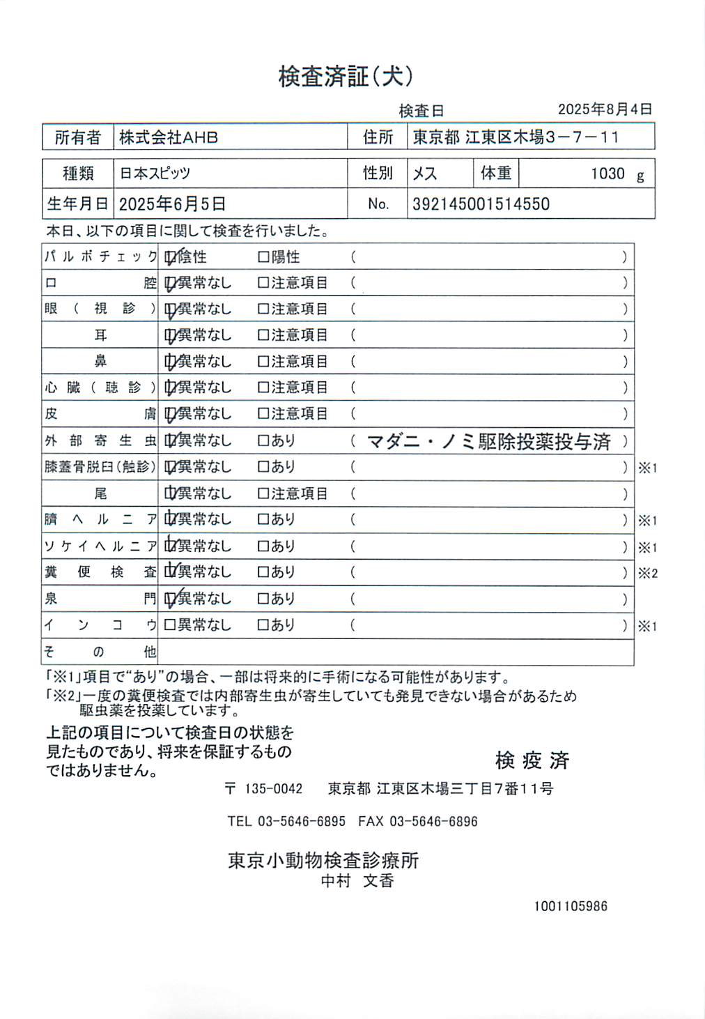 日本スピッツ