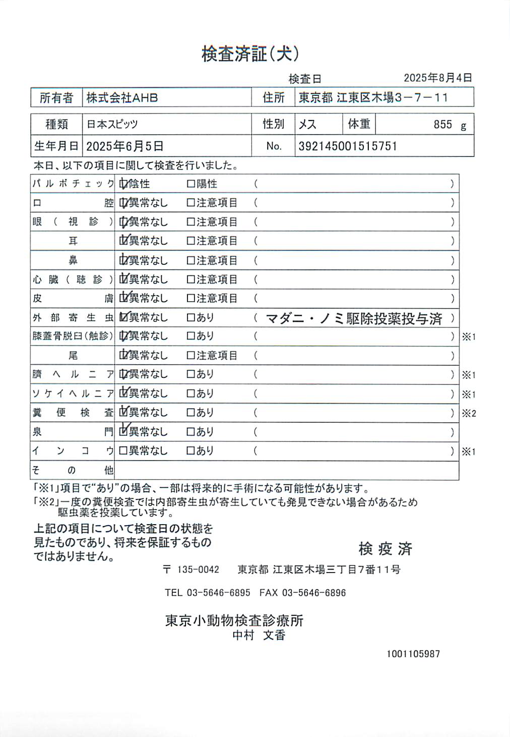 日本スピッツ