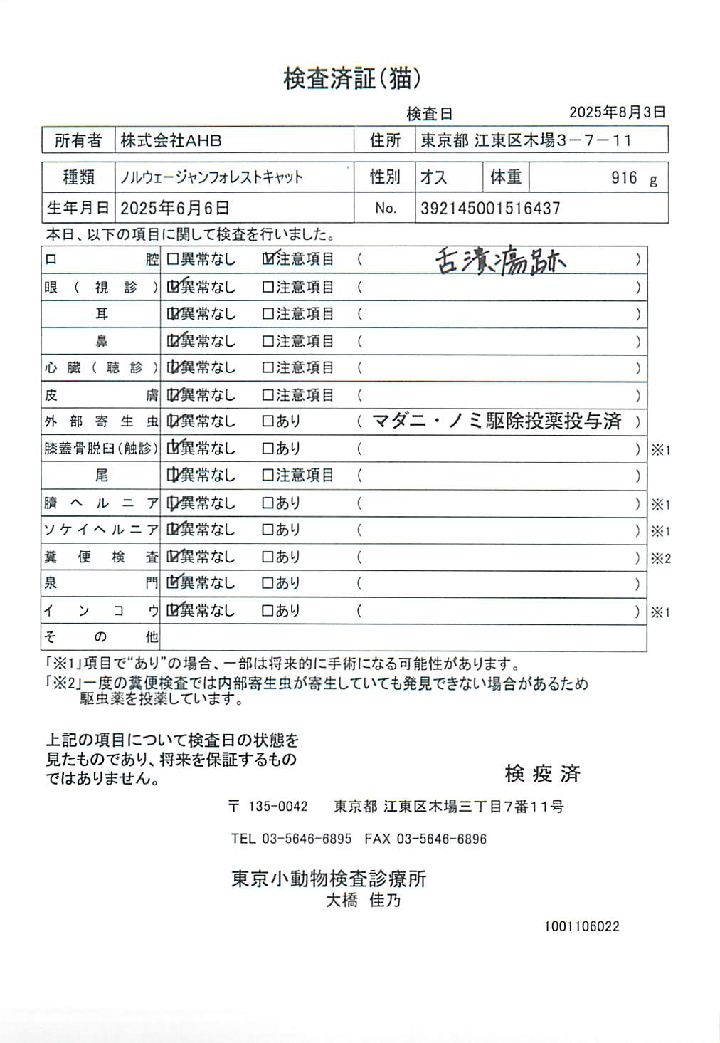ノルウェージャンフォレストキャット