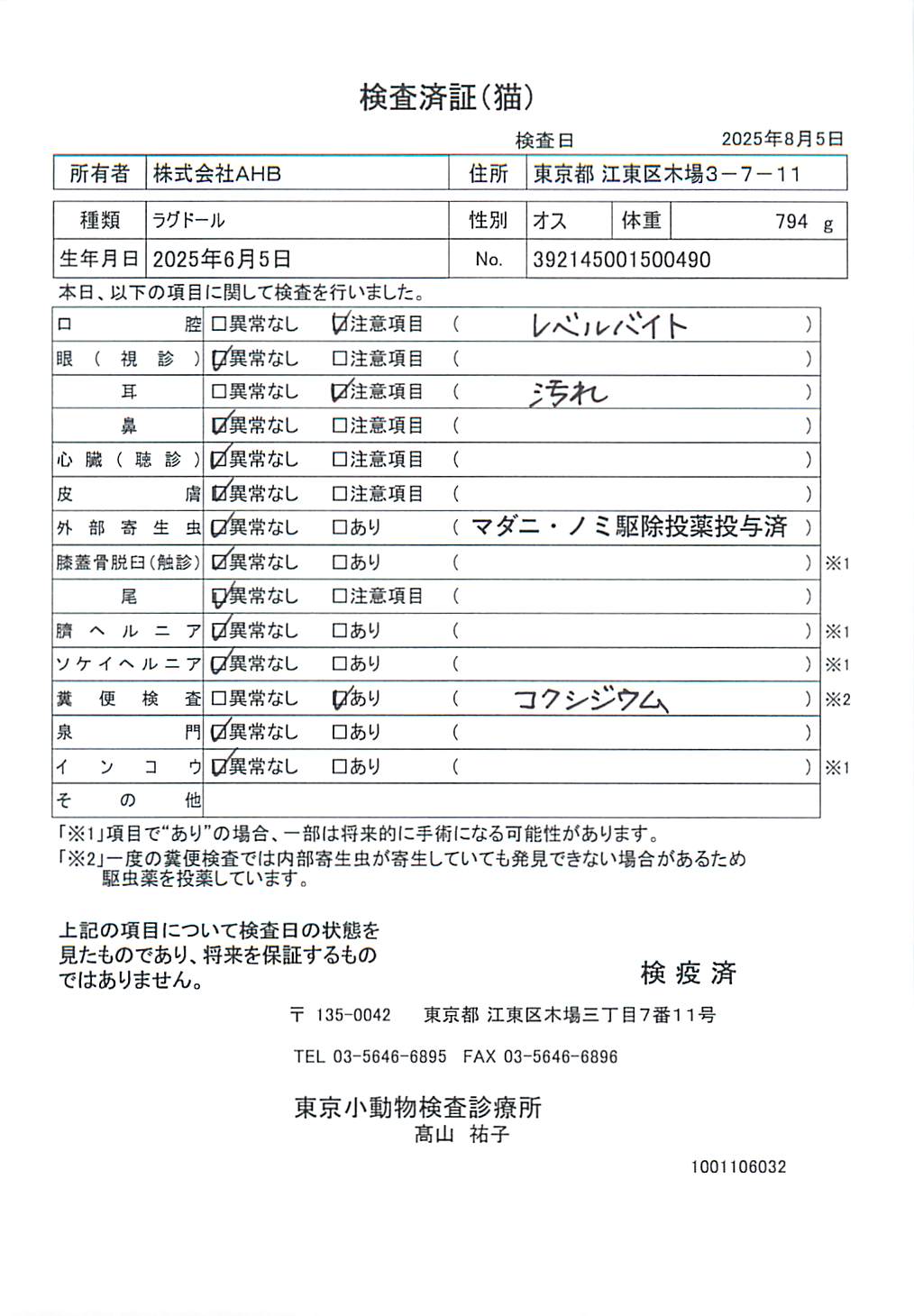 ラグドール