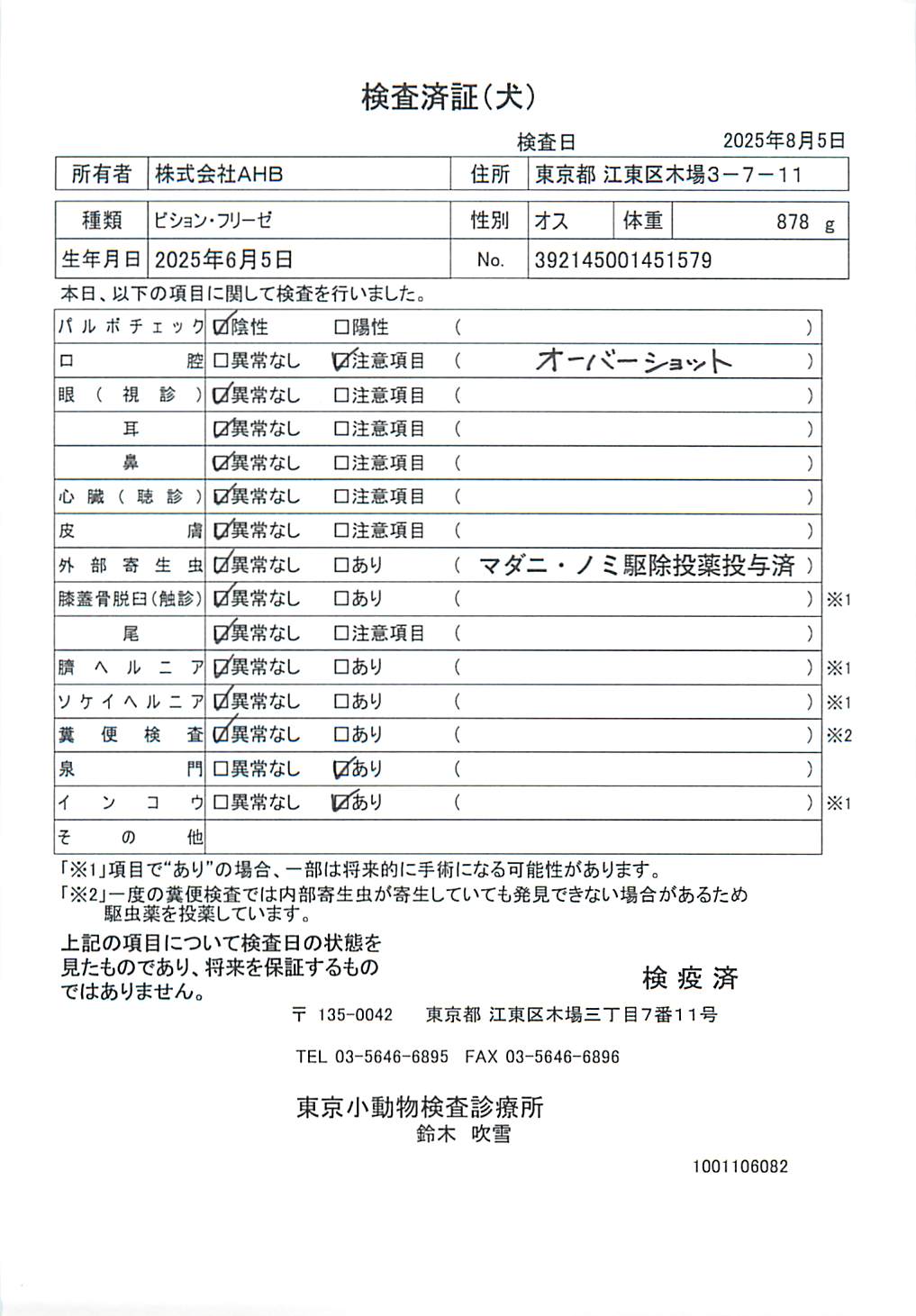 ビション・フリーゼ