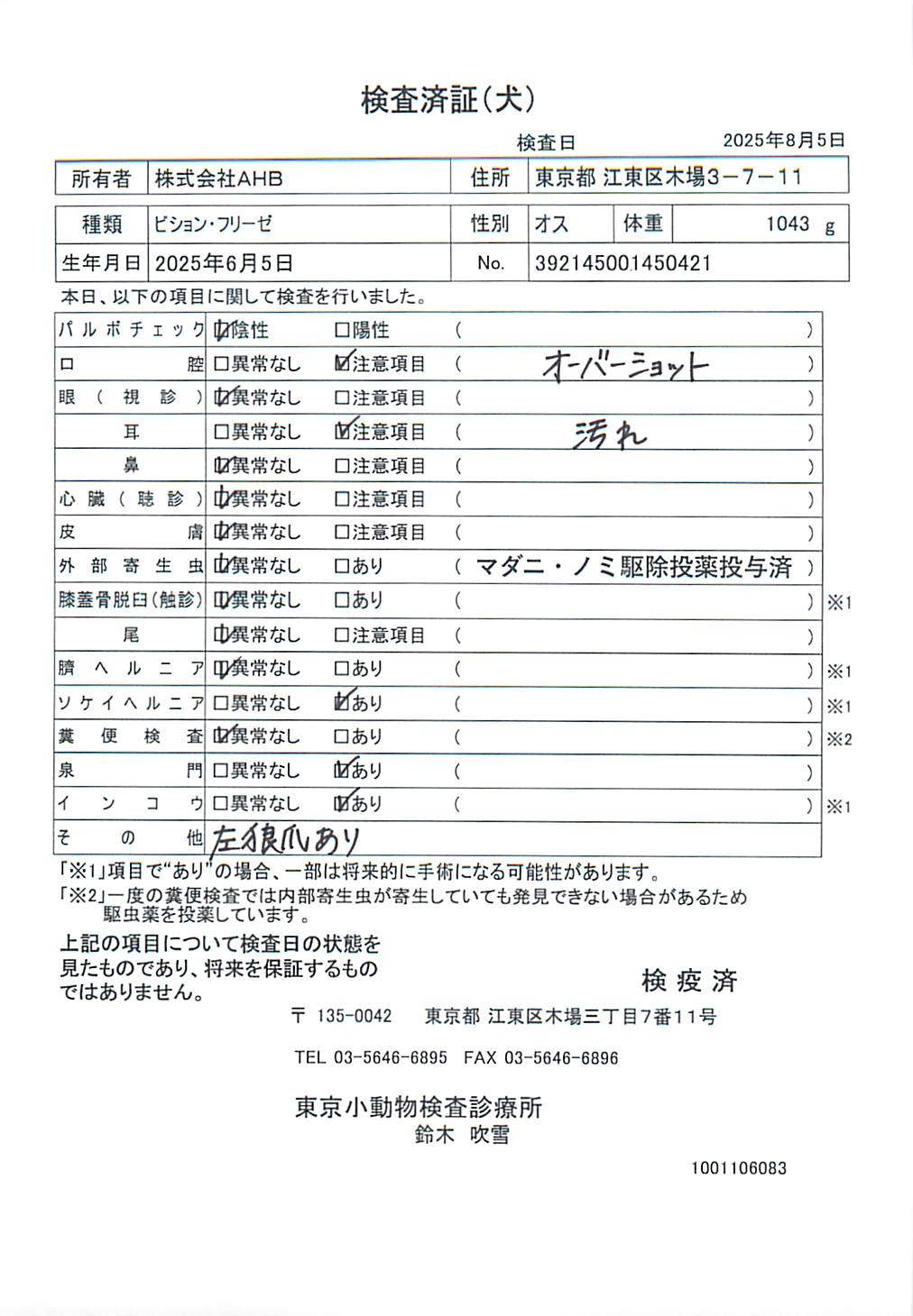 ビション・フリーゼ