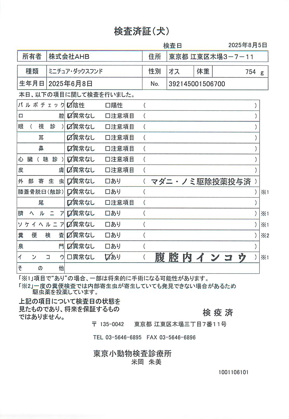ミニチュア・ダックスフンド