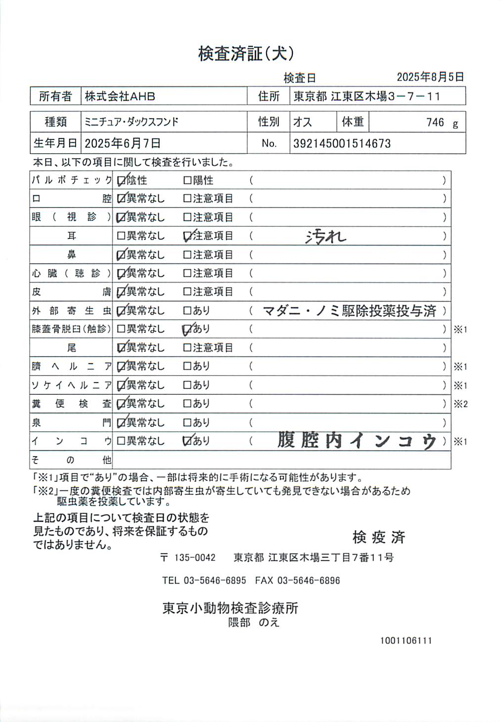 ミニチュア・ダックスフンド