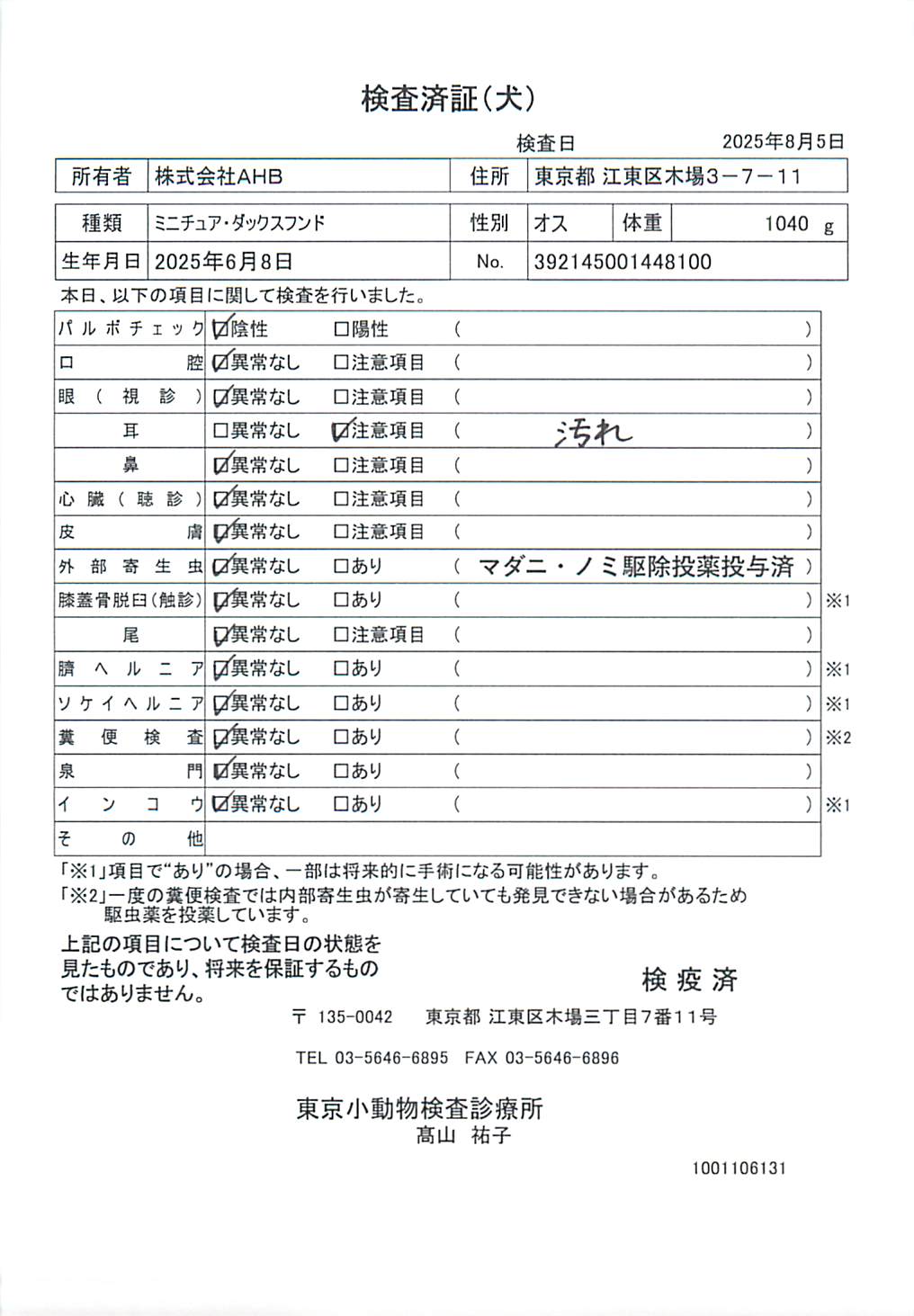 ミニチュア・ダックスフンド