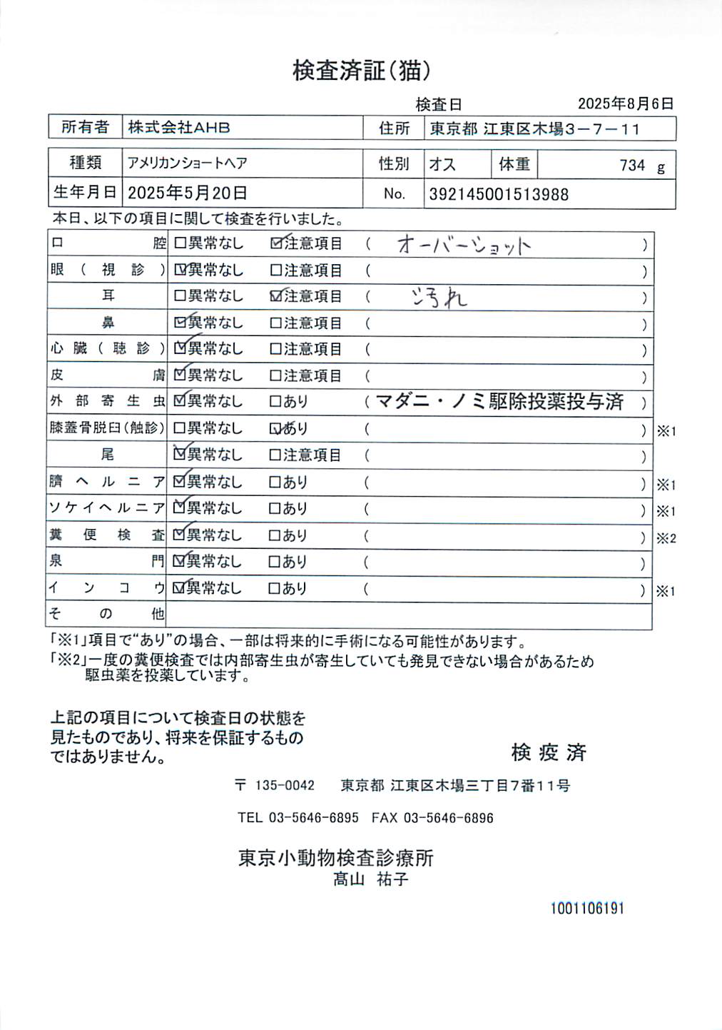 アメリカンショートヘア