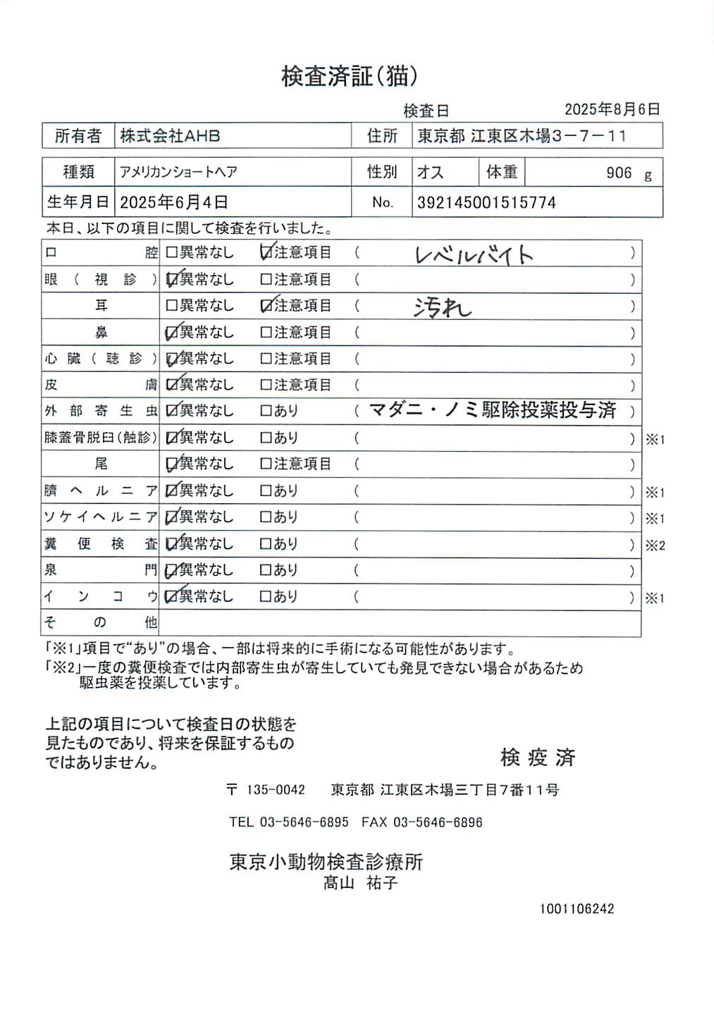 アメリカンショートヘア