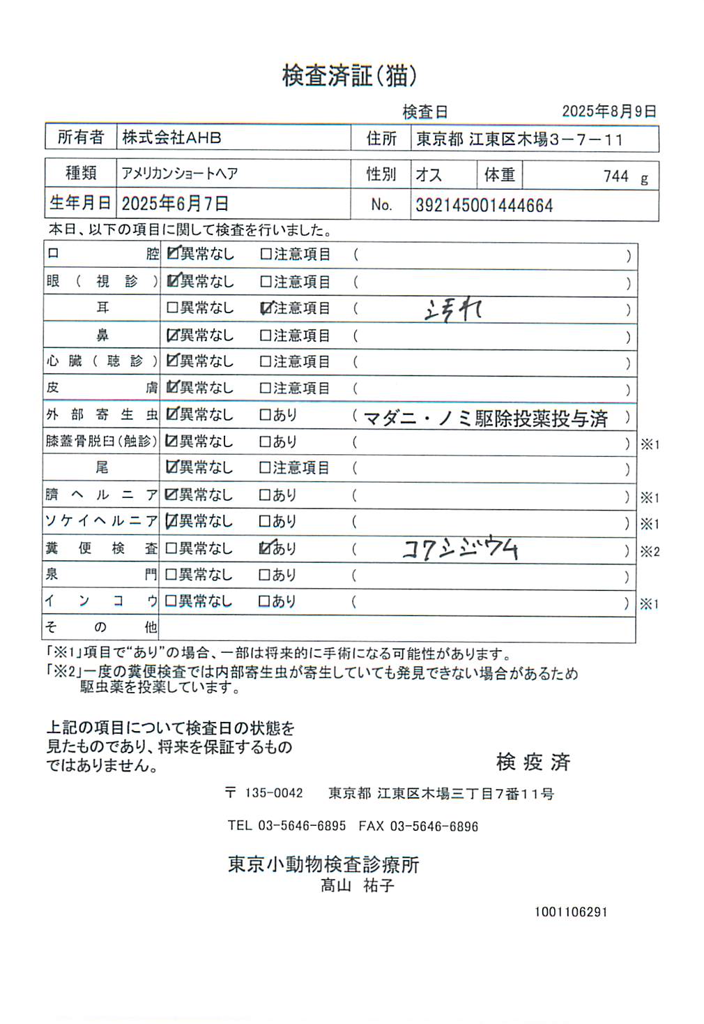 アメリカンショートヘア