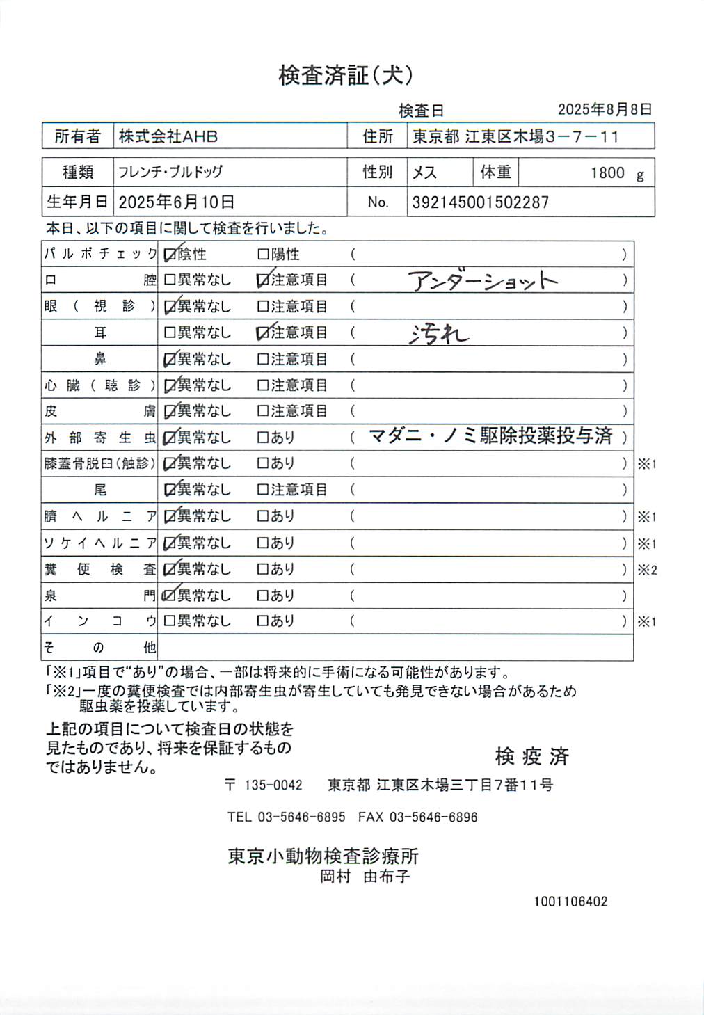 フレンチ・ブルドッグ