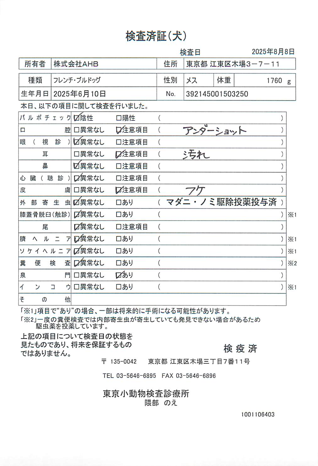 フレンチ・ブルドッグ