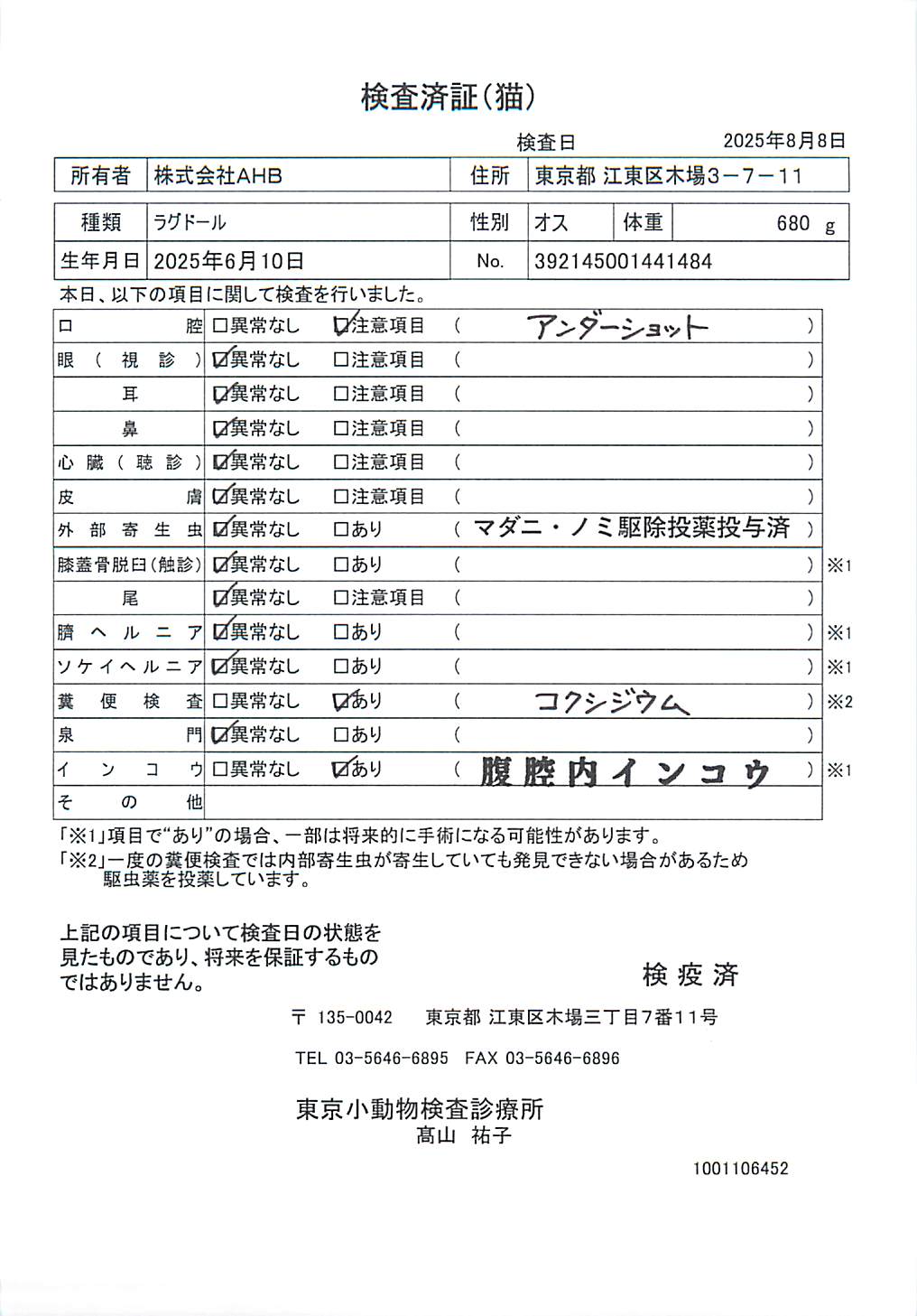 ラグドール