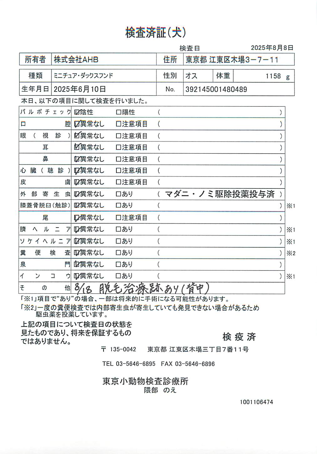 ミニチュア・ダックスフンド