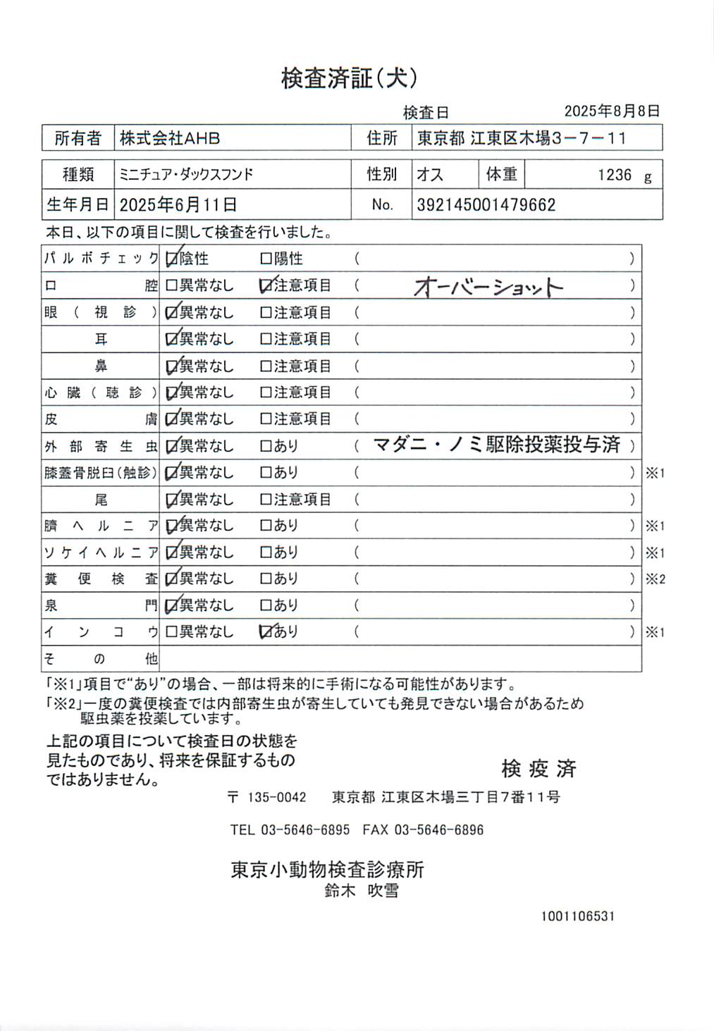 ミニチュア・ダックスフンド