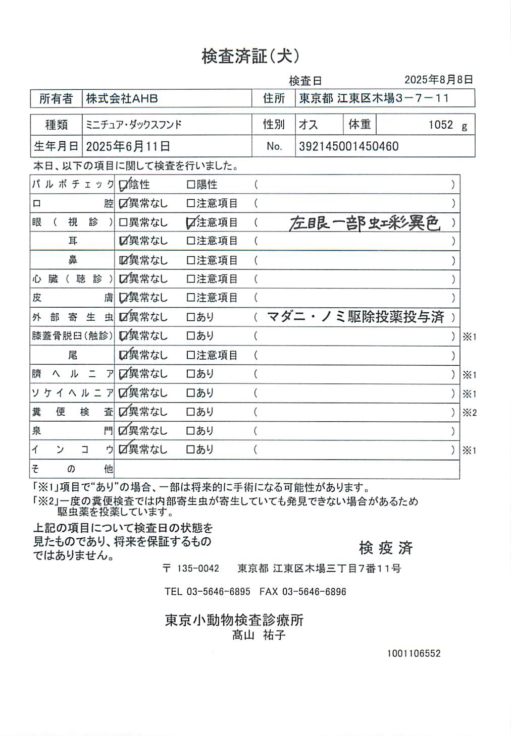 ミニチュア・ダックスフンド