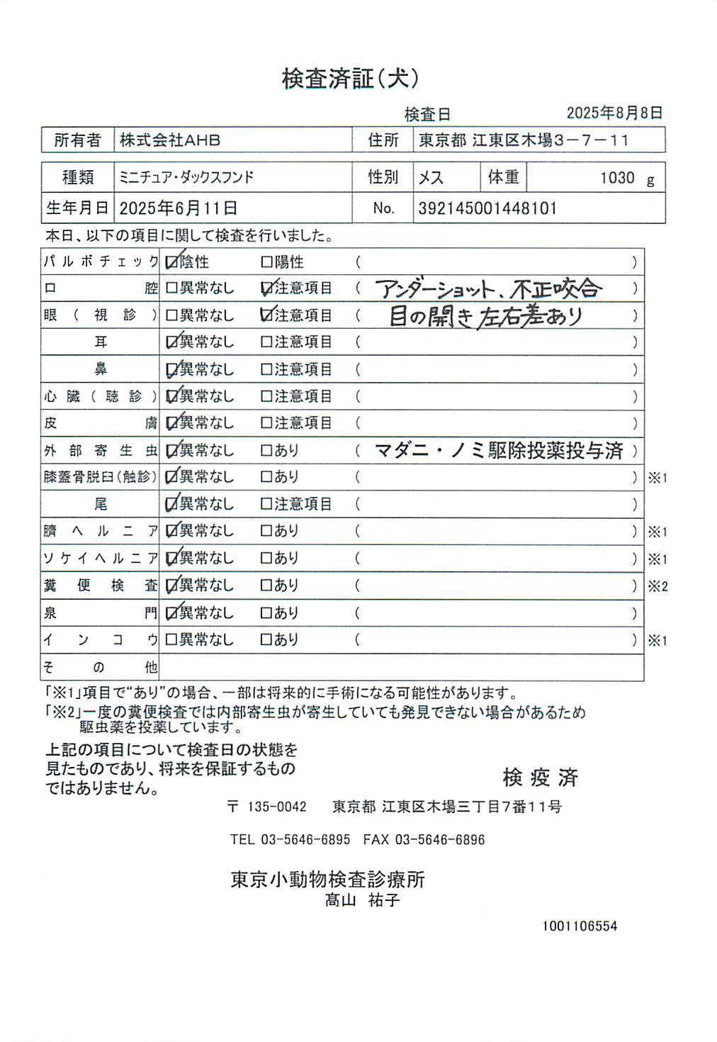 ミニチュア・ダックスフンド