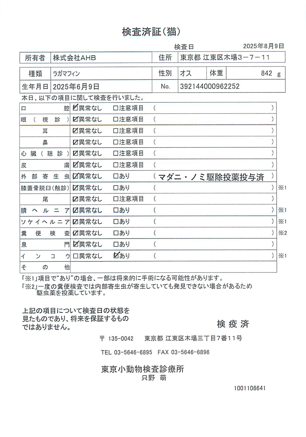 ラガマフィン