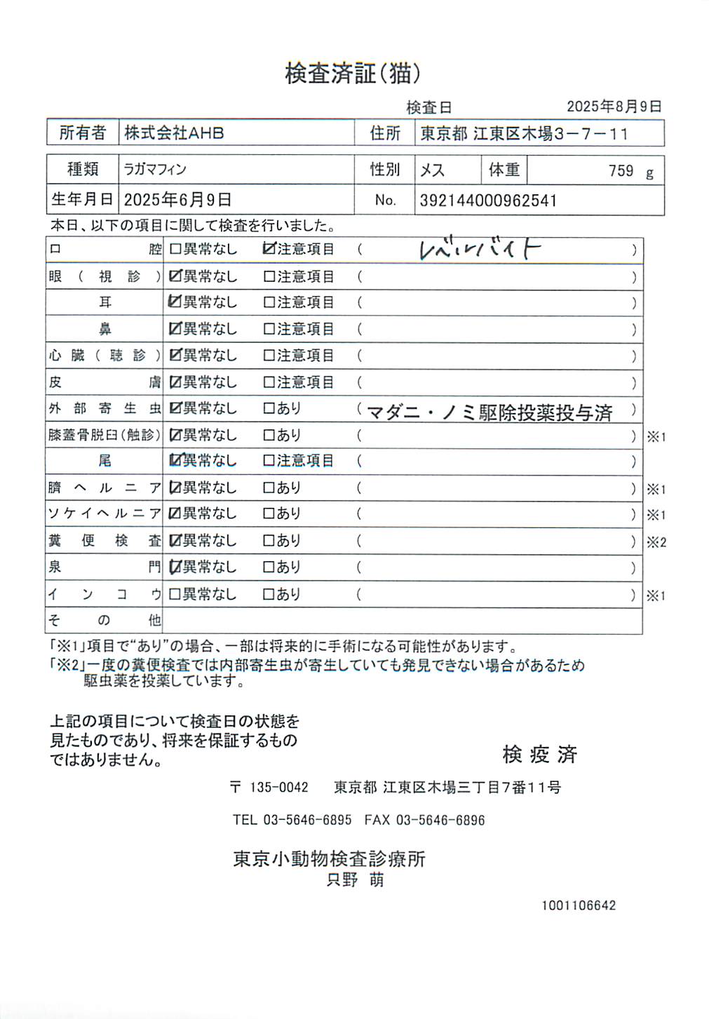 ラガマフィン