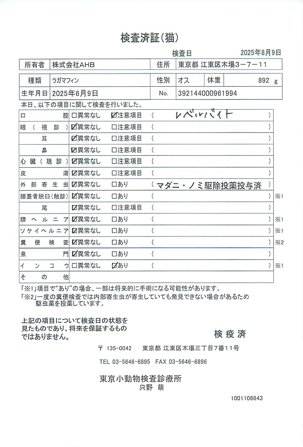 ラガマフィン