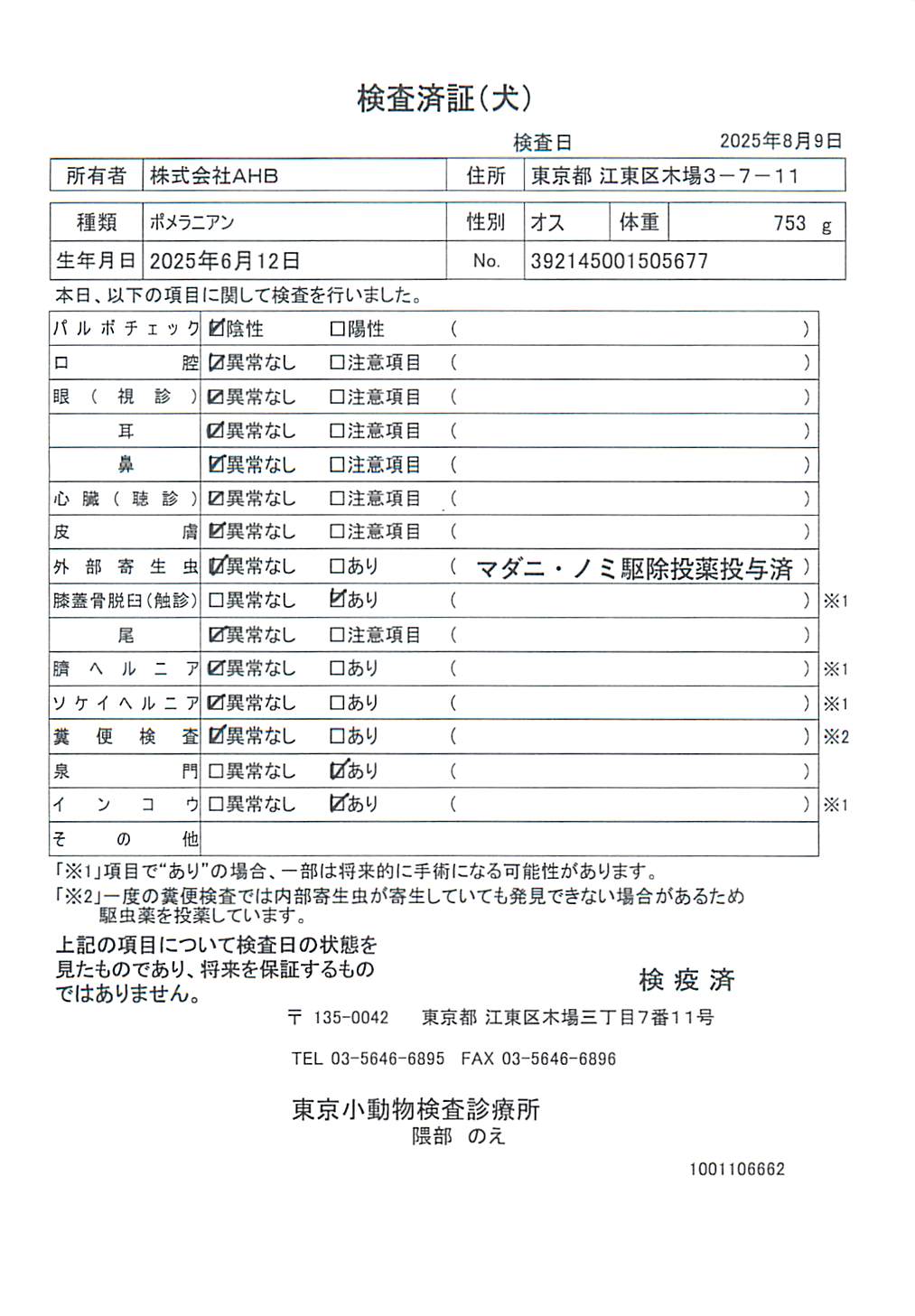 ポメラニアン