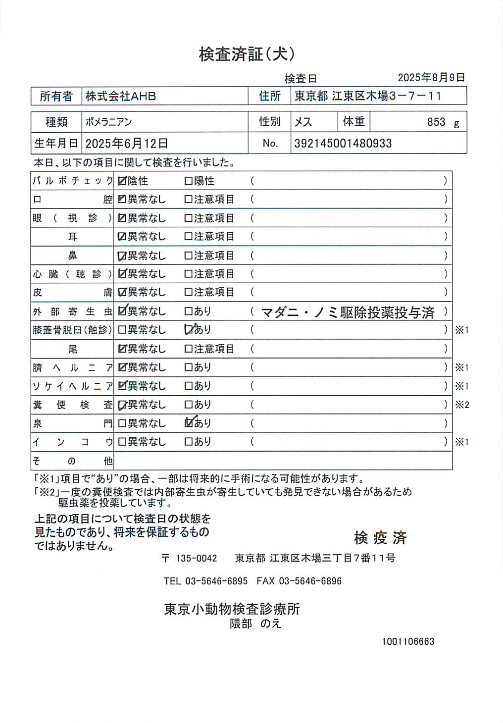 ポメラニアン