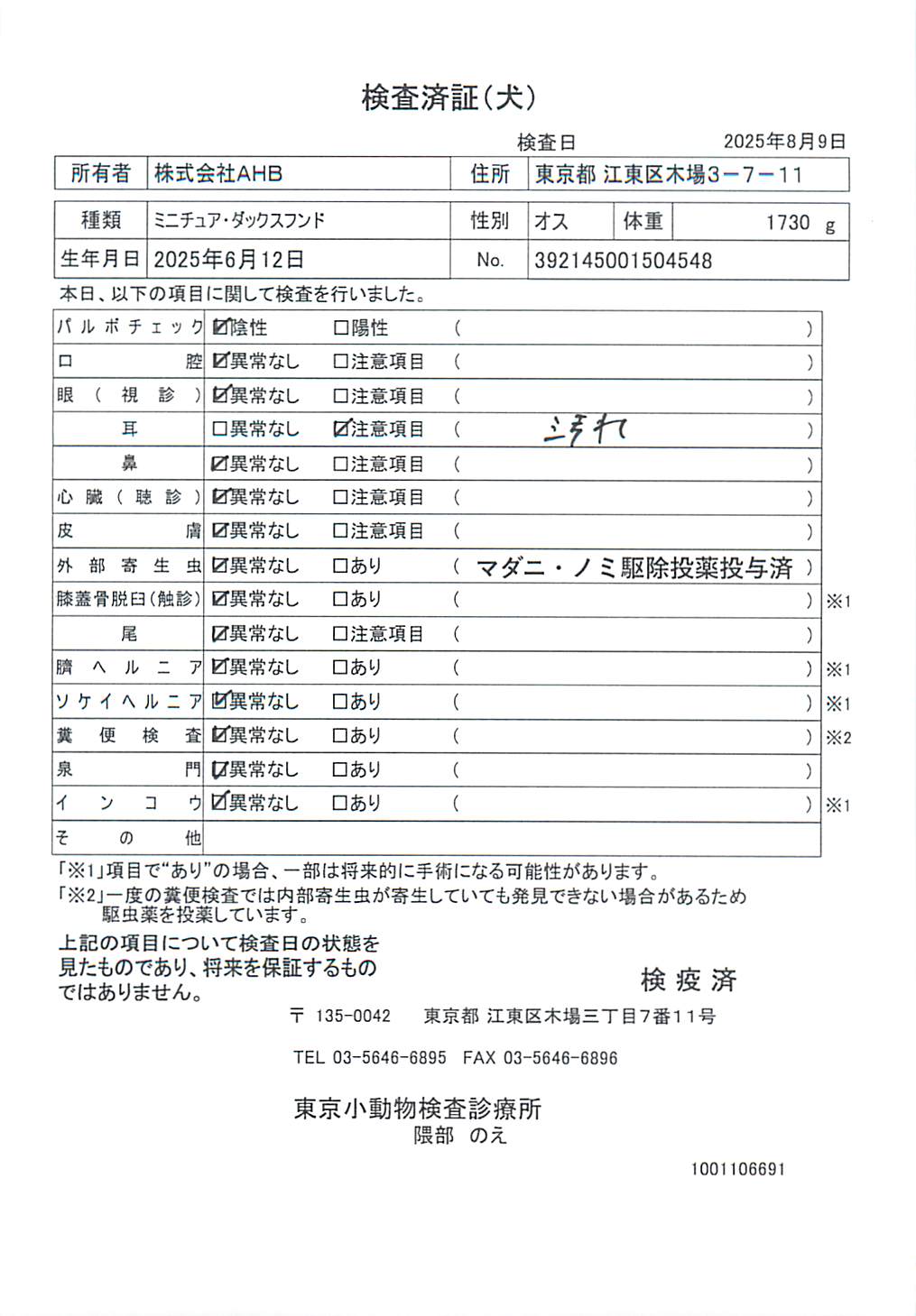 ミニチュア・ダックスフンド
