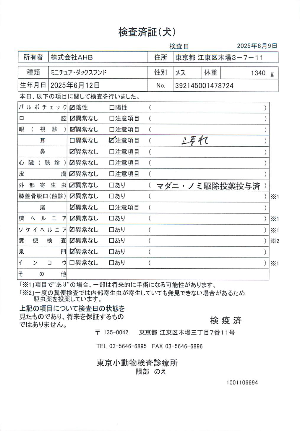 ミニチュア・ダックスフンド