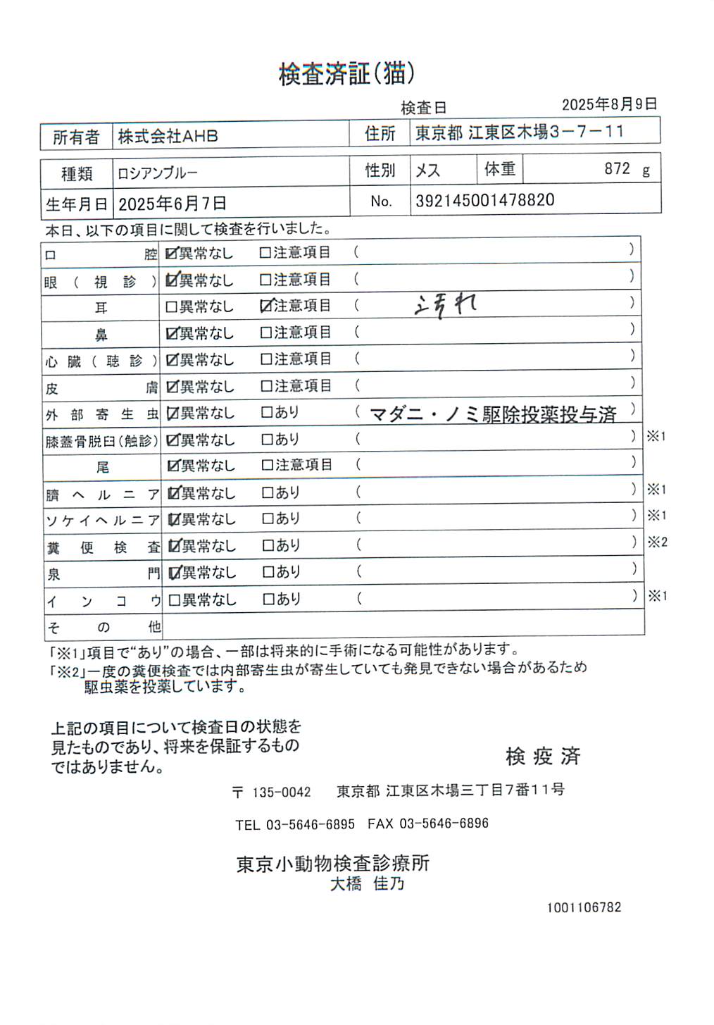ロシアンブルー