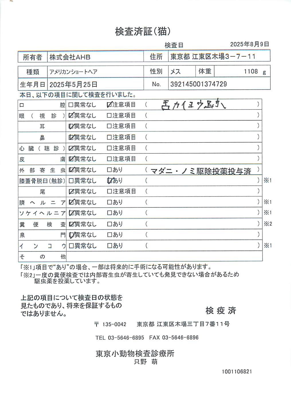 アメリカンショートヘア