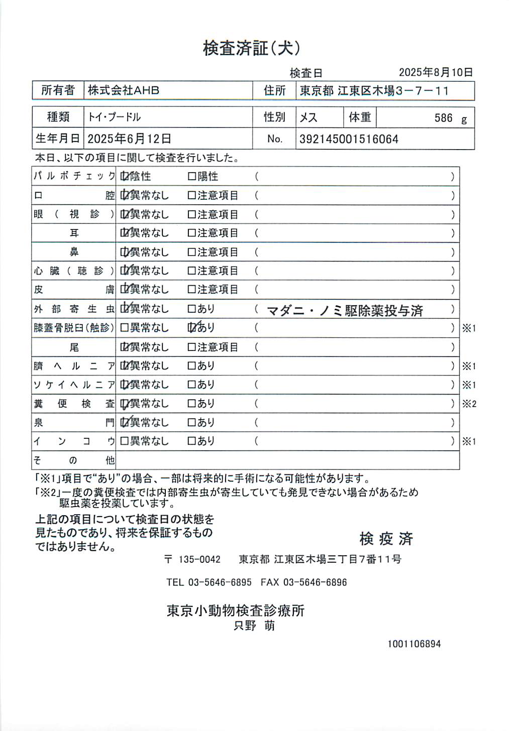 トイ・プードル