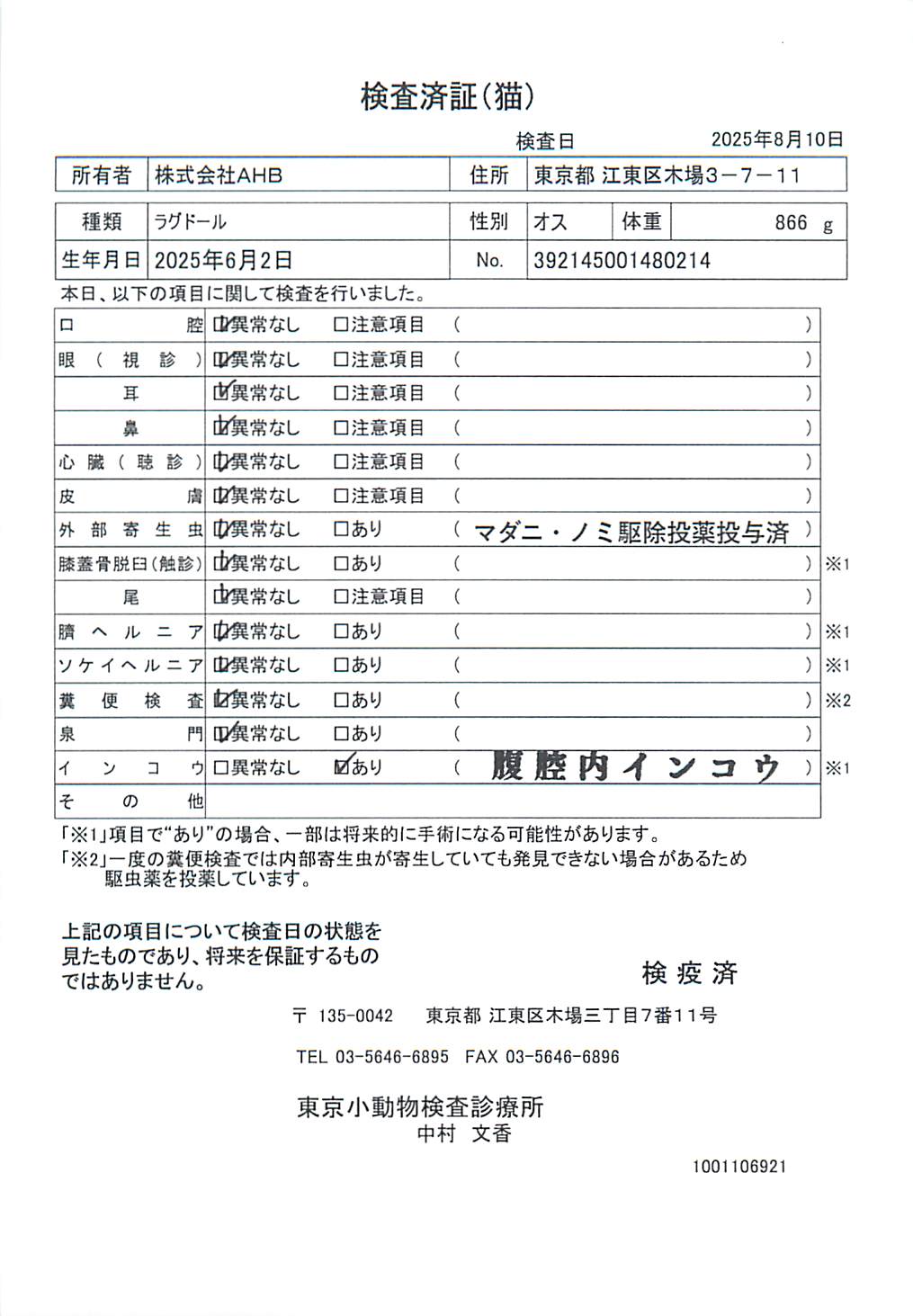 ラグドール