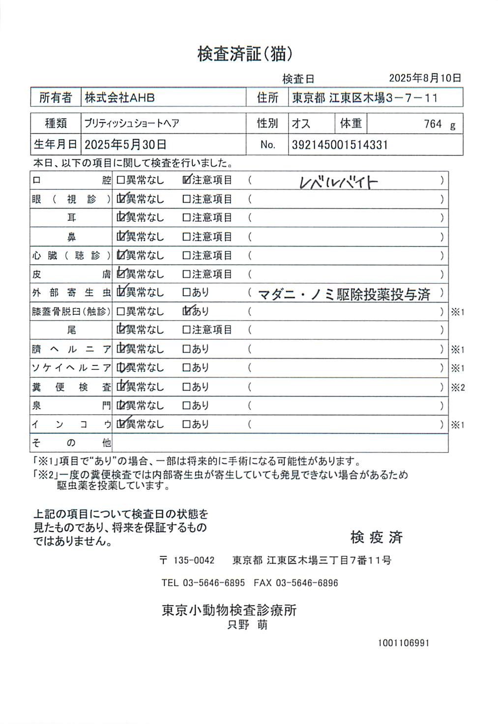ブリティッシュショートヘア