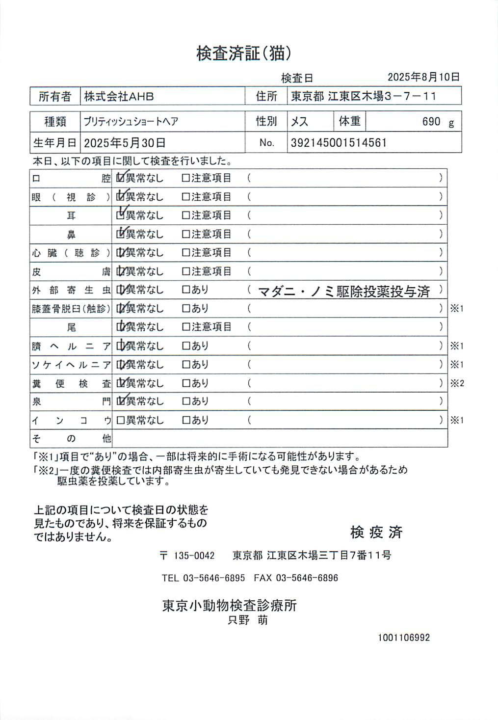ブリティッシュショートヘア