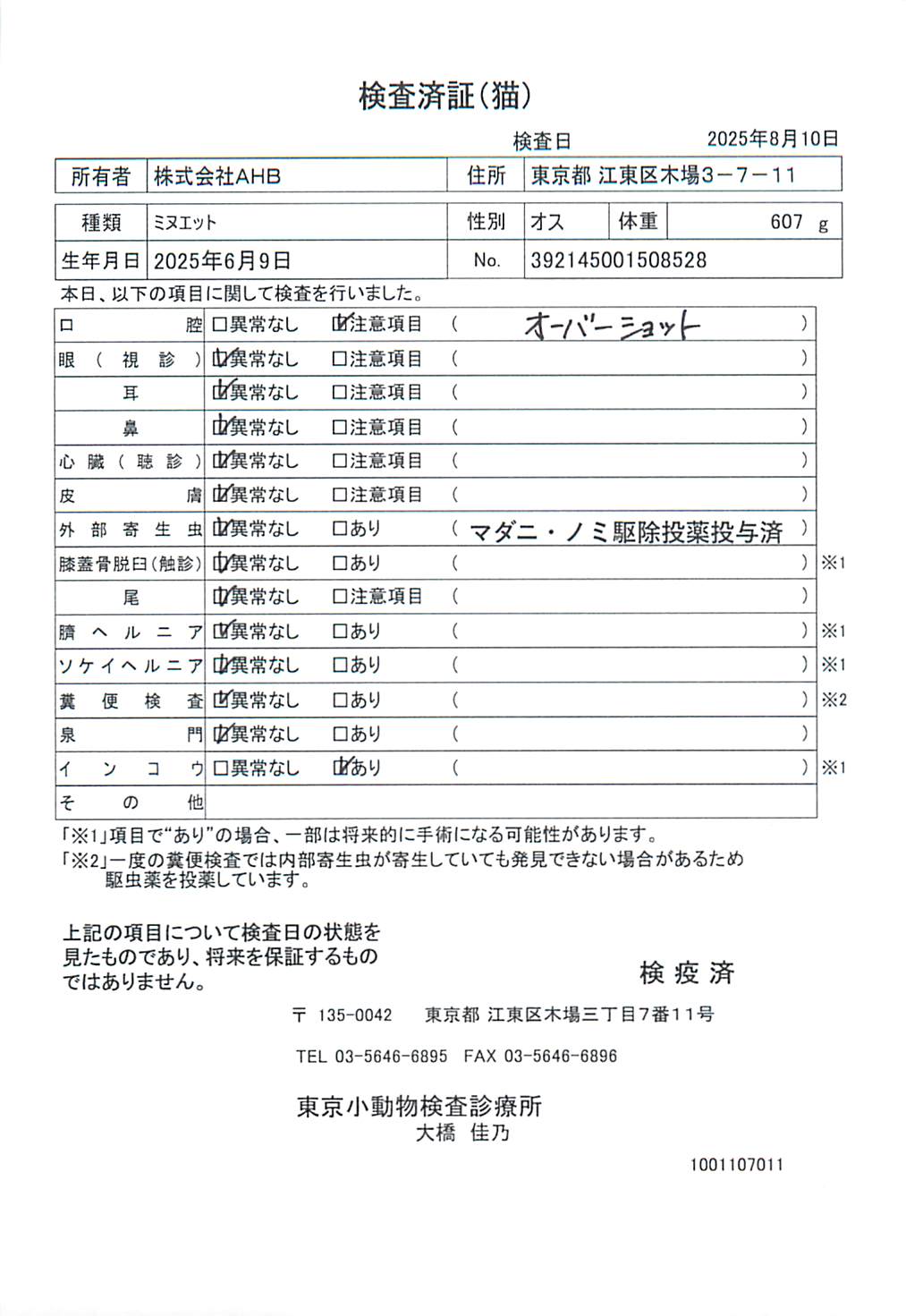ミヌエット