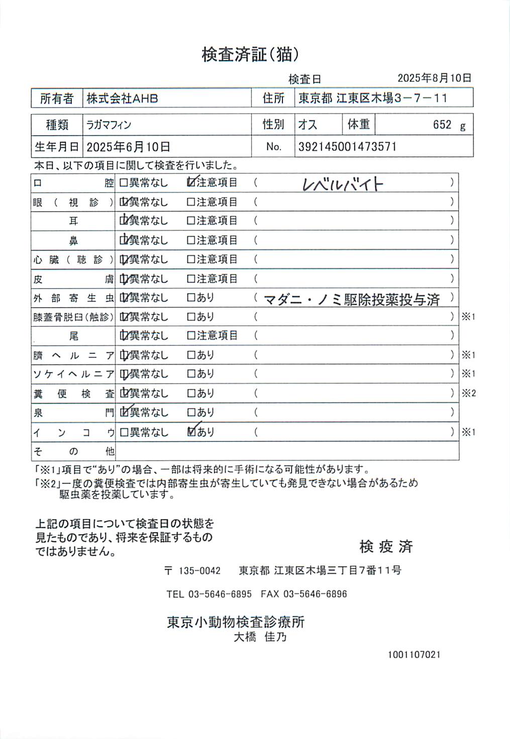 ラガマフィン