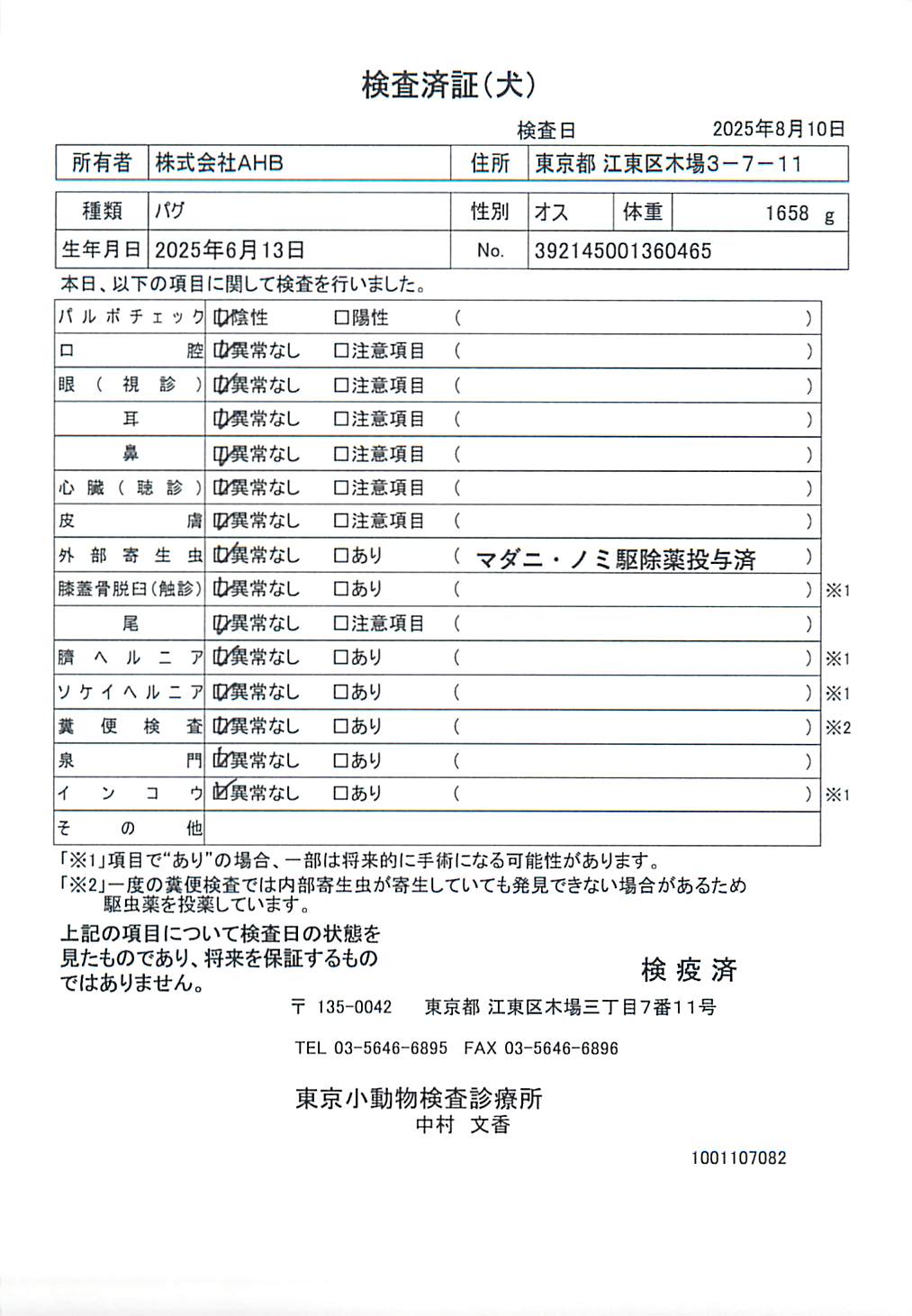 パグ