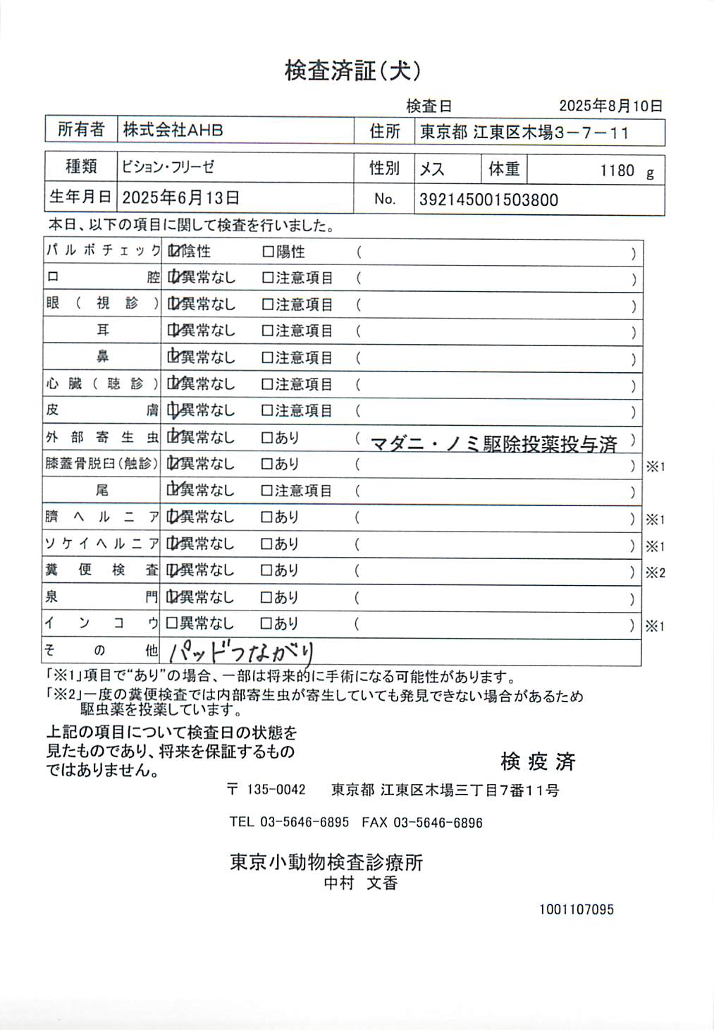ビション・フリーゼ