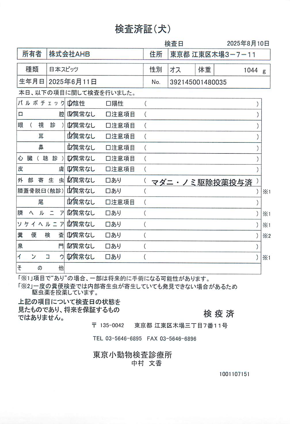 日本スピッツ