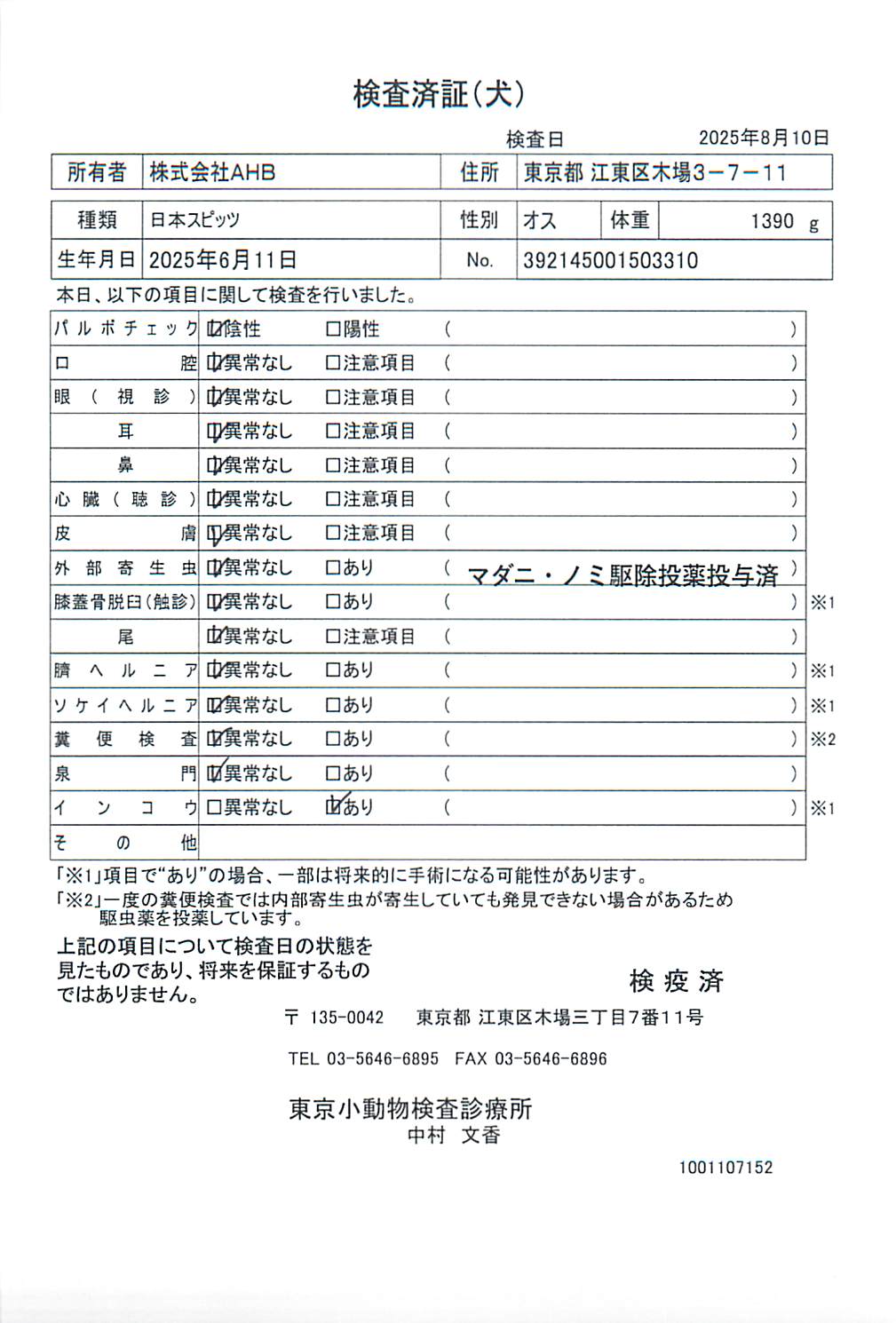 日本スピッツ