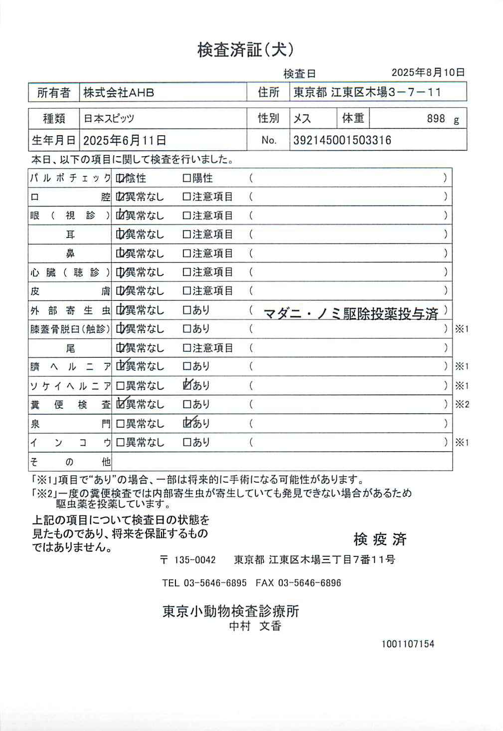 日本スピッツ