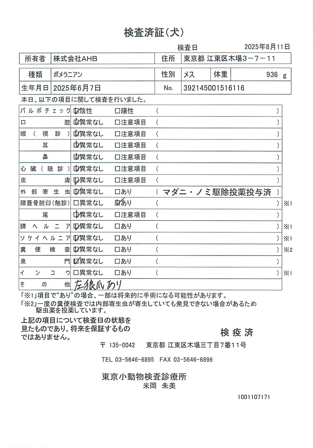 ポメラニアン