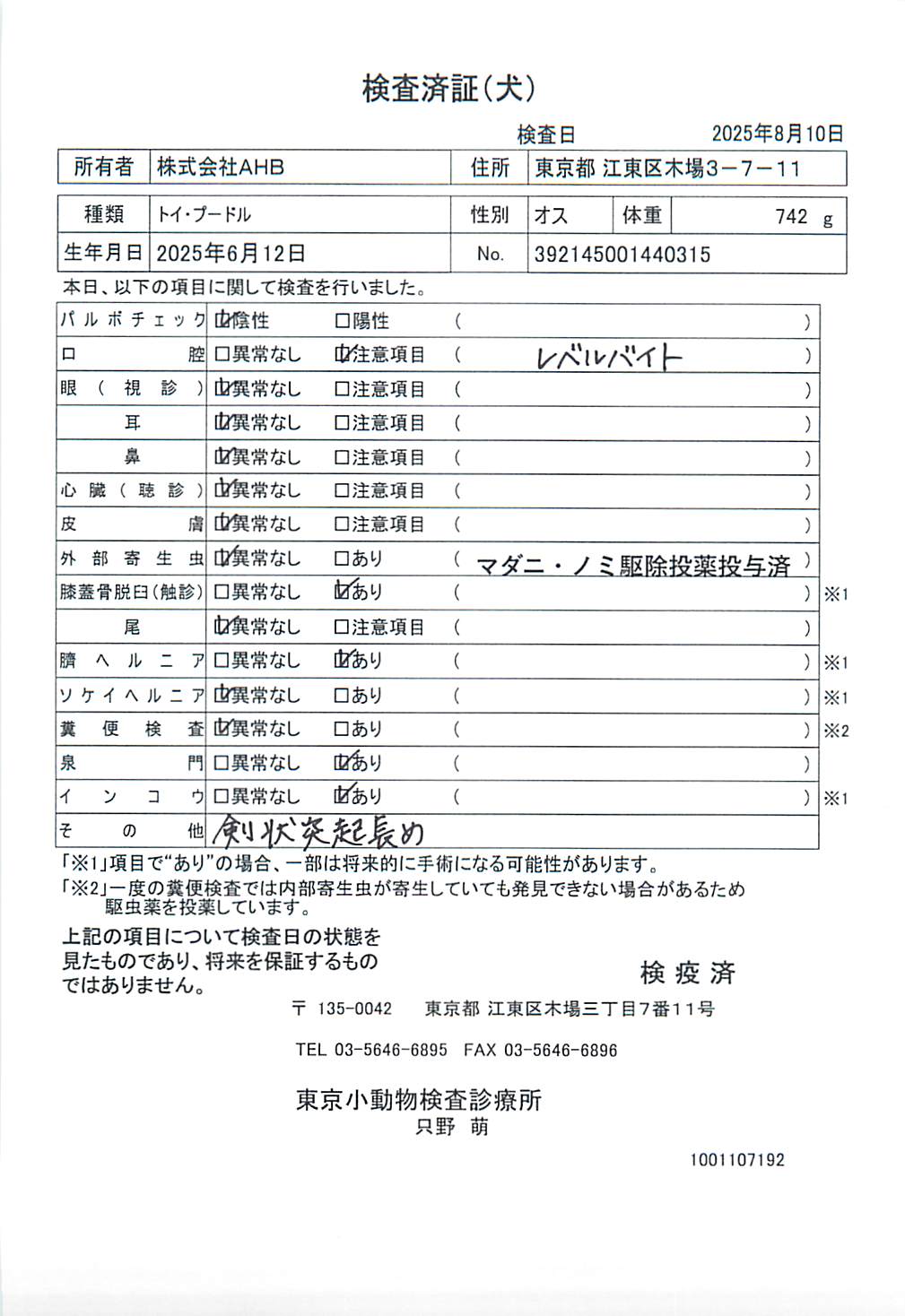 トイ・プードル