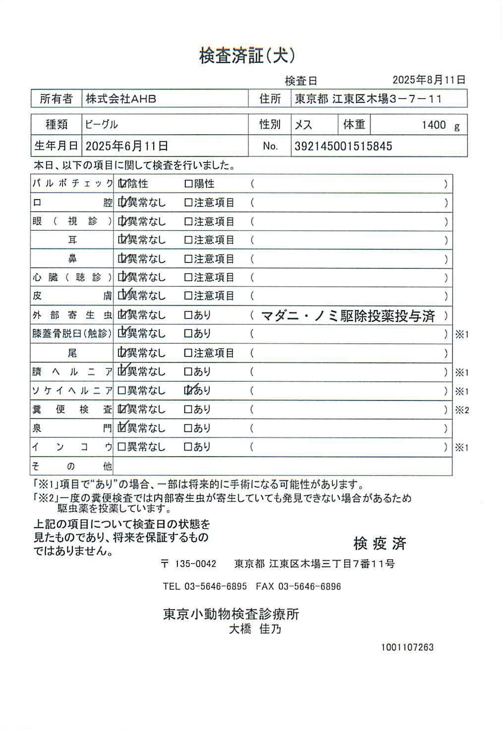 ビーグル