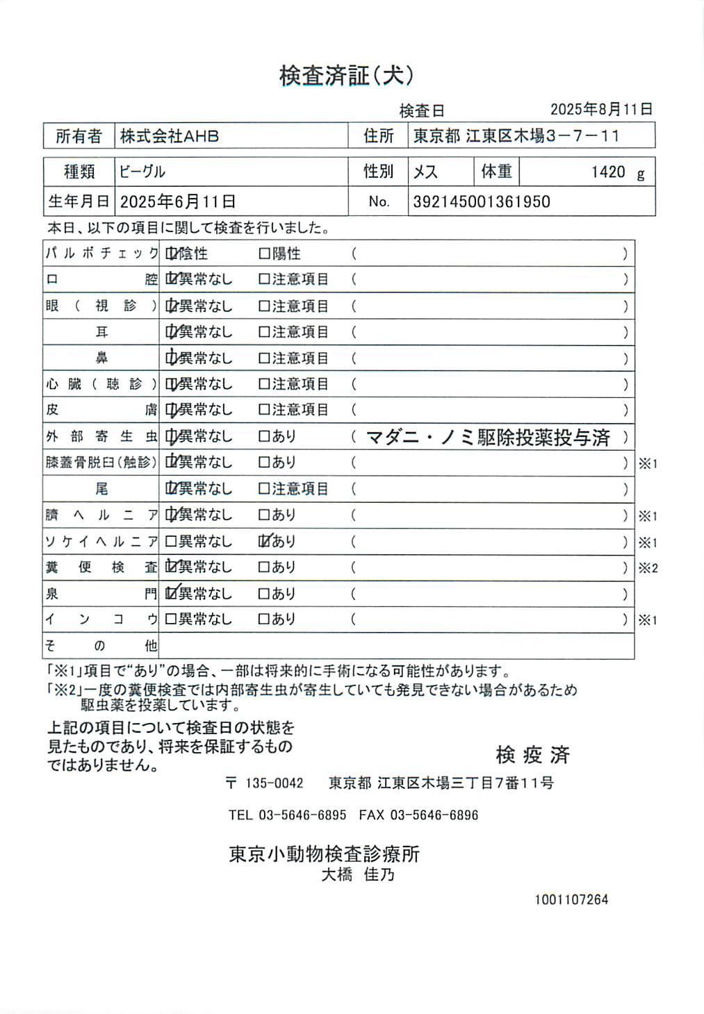 ビーグル