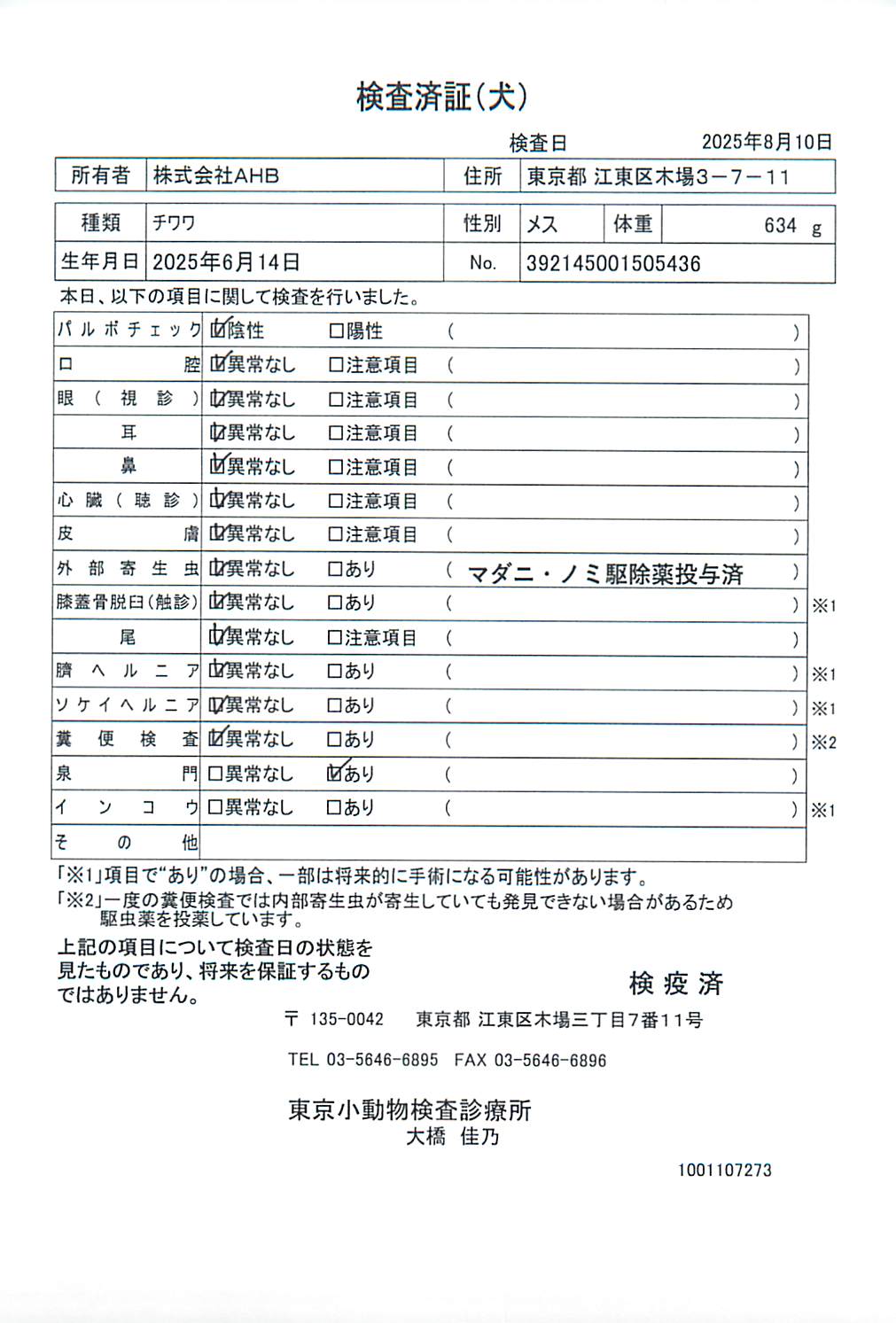チワワ
