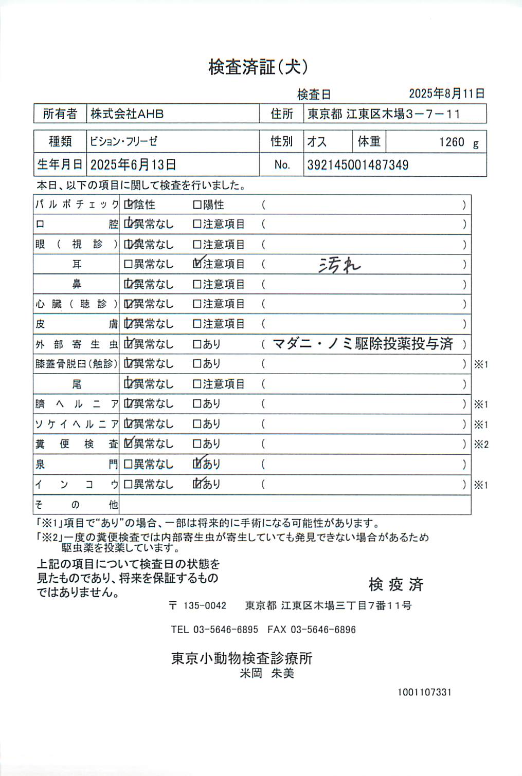 ビション・フリーゼ