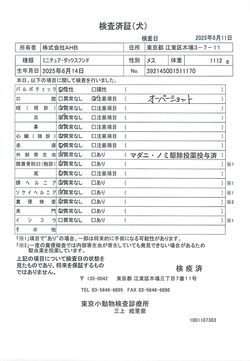 ミニチュア・ダックスフンド